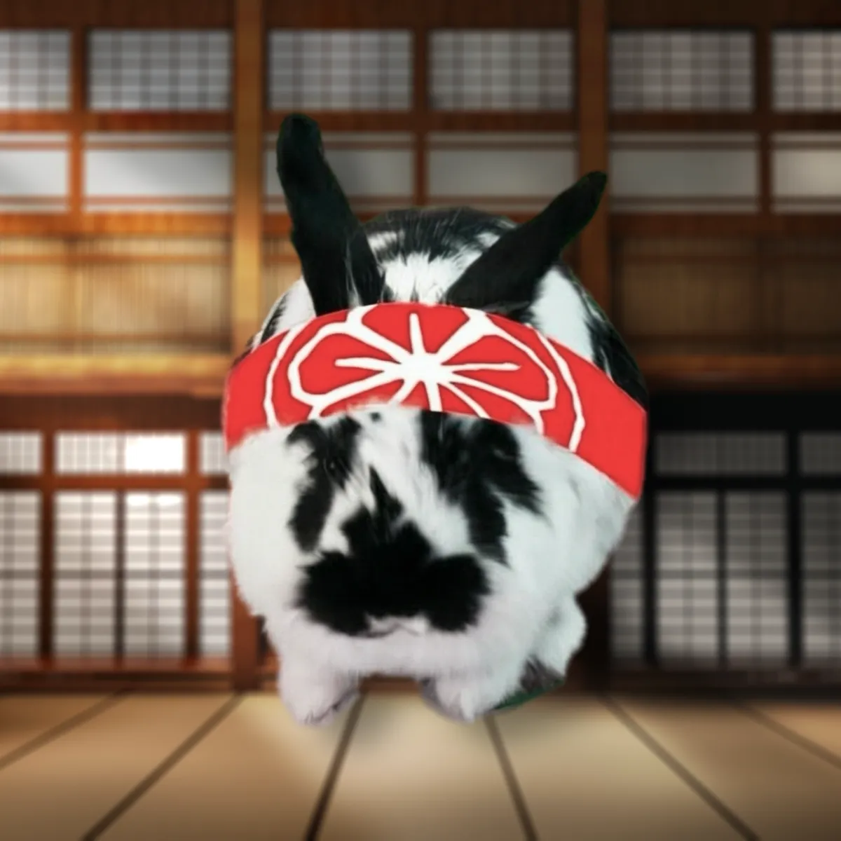A black and white bunny wearing a red karate headband (hachimaki) stands in a traditional Japanese room with shoji screen walls.