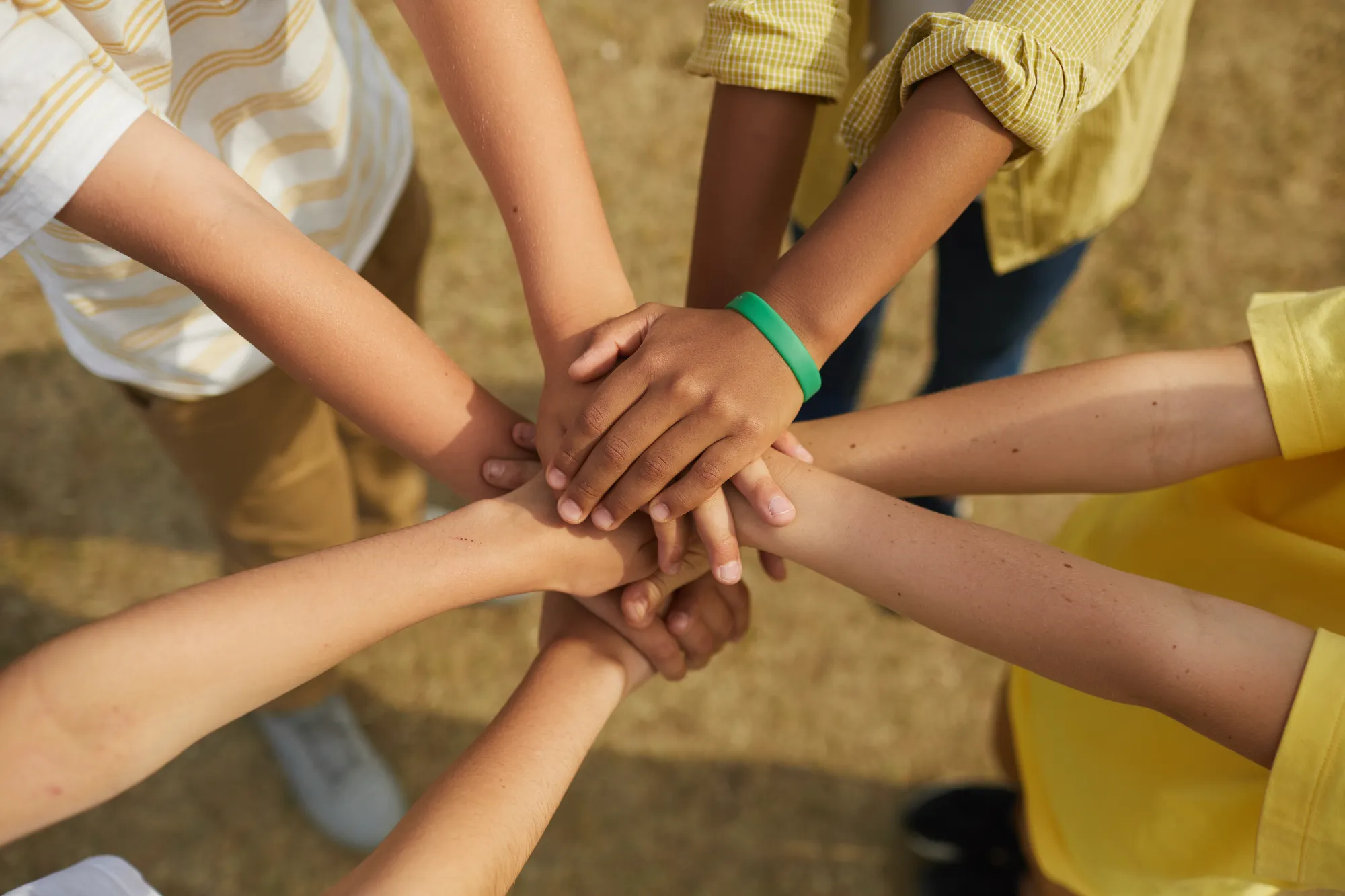 Why Social Connection Matters in Online Karate