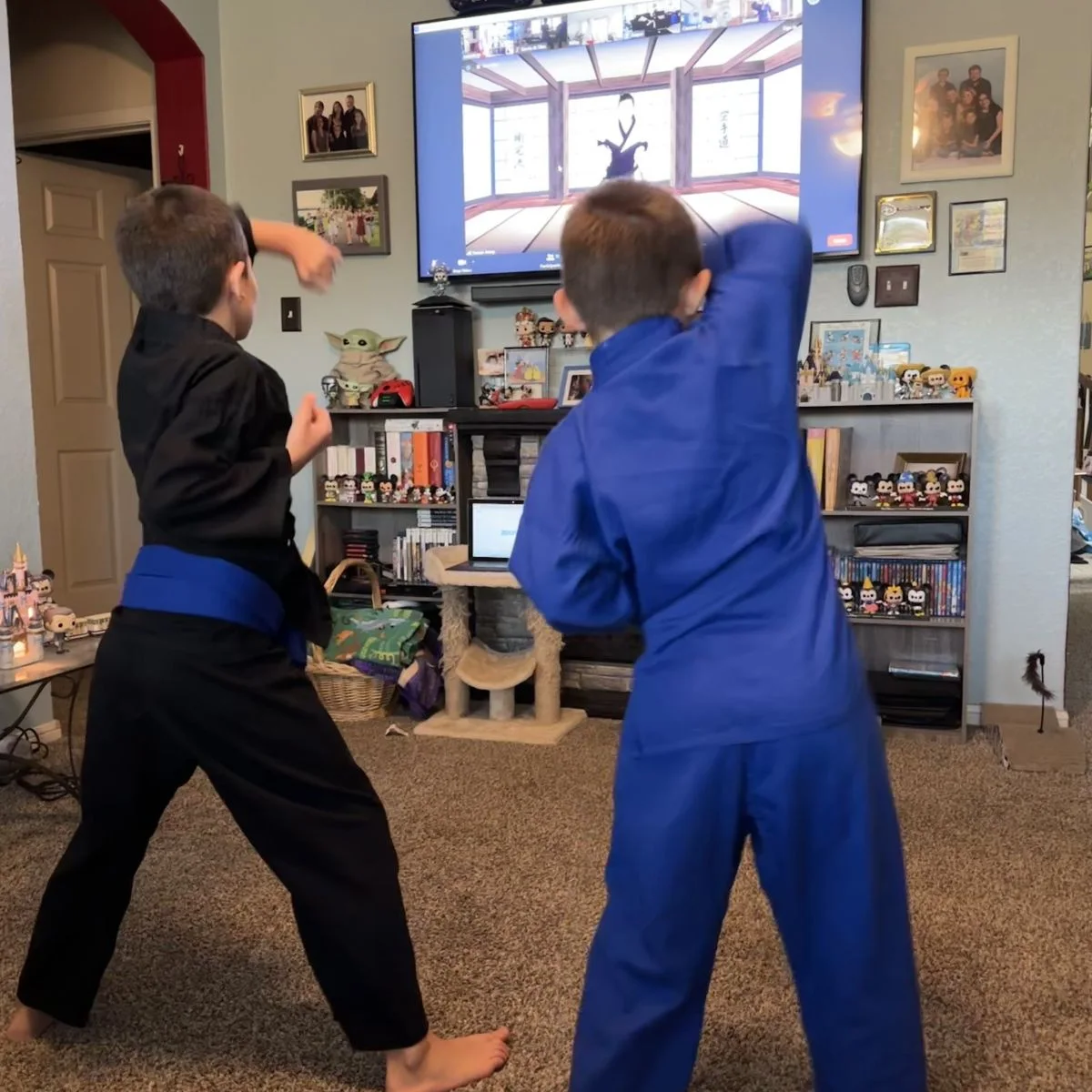 A boy in a black gi and a boy in a blue gi practice karate moves at home, following along with a lesson on the TV.